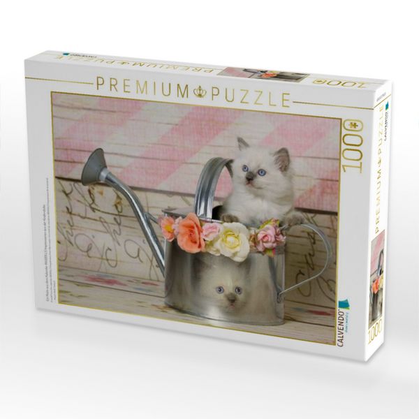 Produktbild: CALVENDO Puzzle Ein Motiv aus dem Kalender RAGDOLLS Impressionen aus der Kinderstube | 1000 Teile Lege-Gr&ouml;&szlig;e 64x48cm Foto-Puzzle f&uuml;r gl&uuml;ckliche Stunden