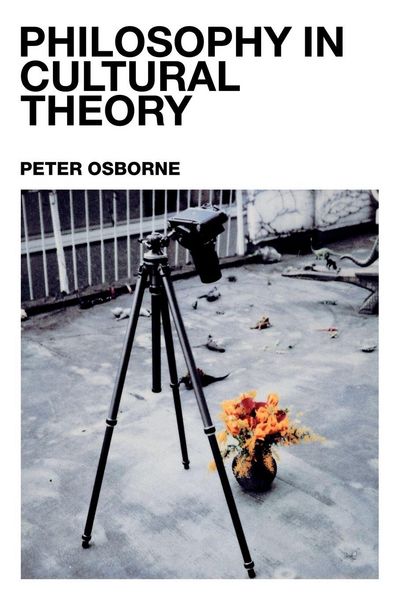 Produktbild: Philosophy in Cultural Theory