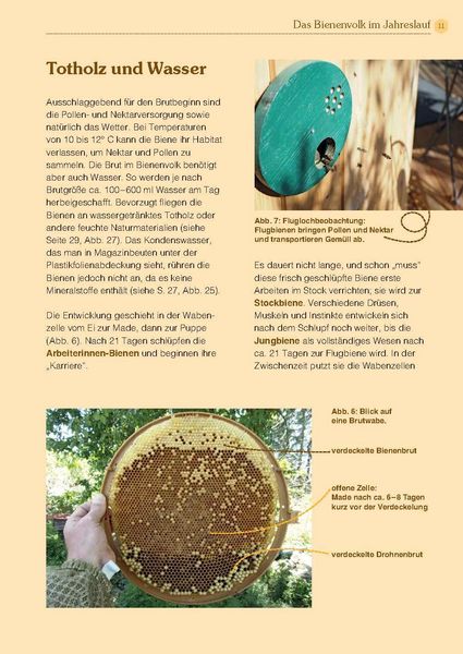 Produktbild: Mit Bienen die Welt retten