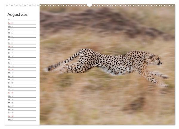 Produktbild: Emotionale Momente: Mein wildes Afrika (Wandkalender 2026 DIN A2 quer), CALVENDO Monatskalender