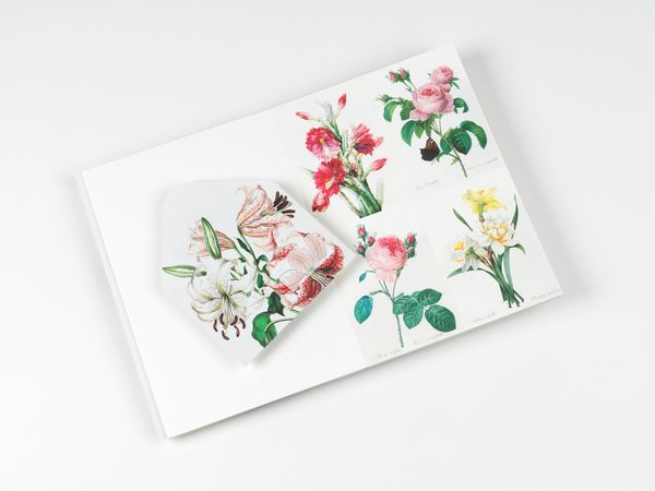 Produktbild: Flowers