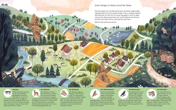 Produktbild: Kleine Geheimnisse der Natur - Wald und Wiese