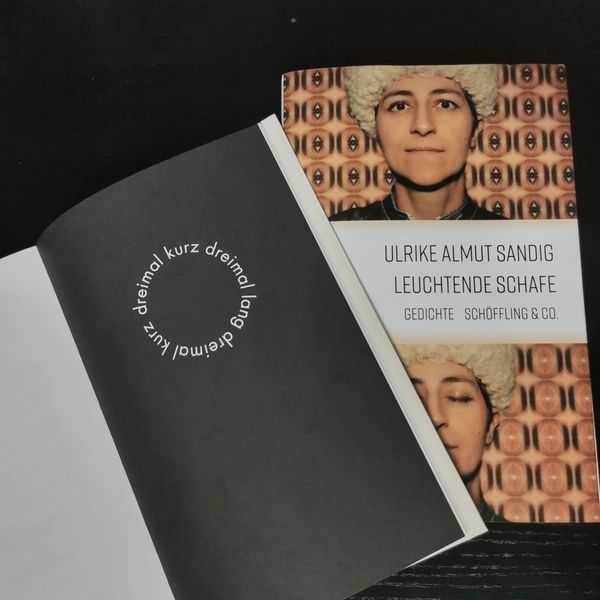 Produktbild: Leuchtende Schafe