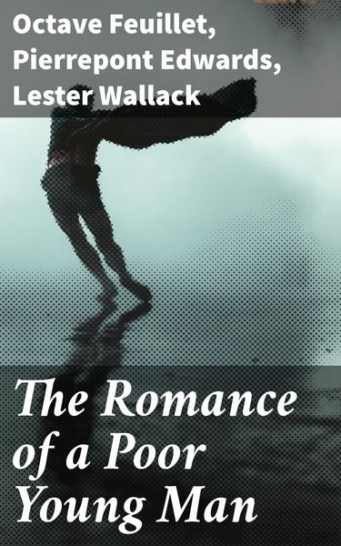 Produktbild: The Romance of a Poor Young Man