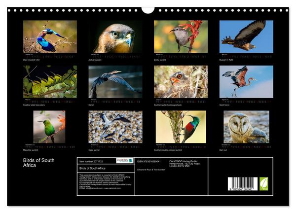 Produktbild: Birds of South Africa (Wall Calendar 2026 DIN A3 landscape), CALVENDO 12 Month Wall Calendar