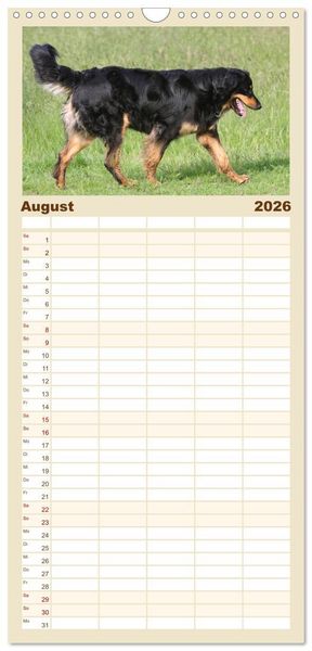 Produktbild: Familienplaner 2026 - Hovawarte - einmal anders mit 5 Spalten (Wandkalender, 21 x 45 cm) CALVENDO