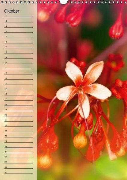 Produktbild: Immerw&auml;hrender Geburtstagskalender - Bl&uuml;tentr&auml;ume (Wandkalender immerw&auml;hrend DIN A3 hoch)