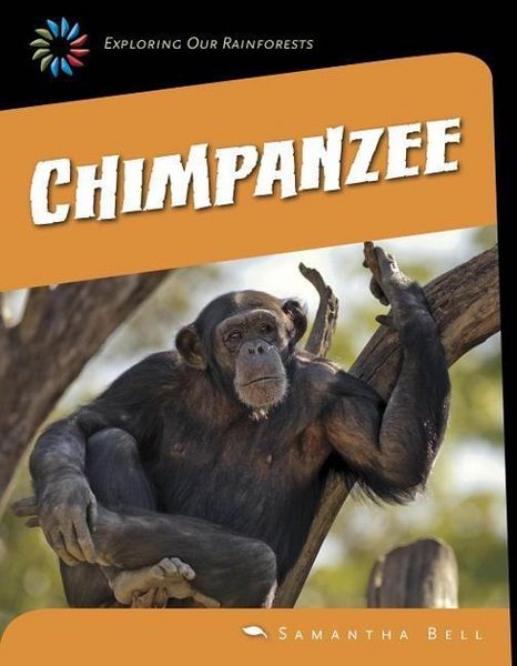 Produktbild: Chimpanzee