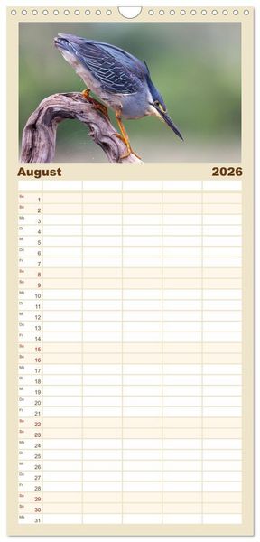Produktbild: Familienplaner 2026 - S&uuml;dafrika wunderbare Tierwelt mit 5 Spalten (Wandkalender, 21 x 45 cm) CALVENDO