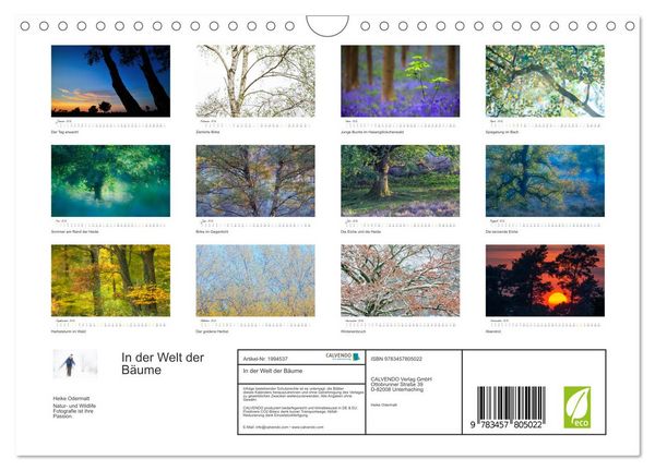 Produktbild: In der Welt der B&auml;ume (Wandkalender 2026 DIN A4 quer), CALVENDO Monatskalender