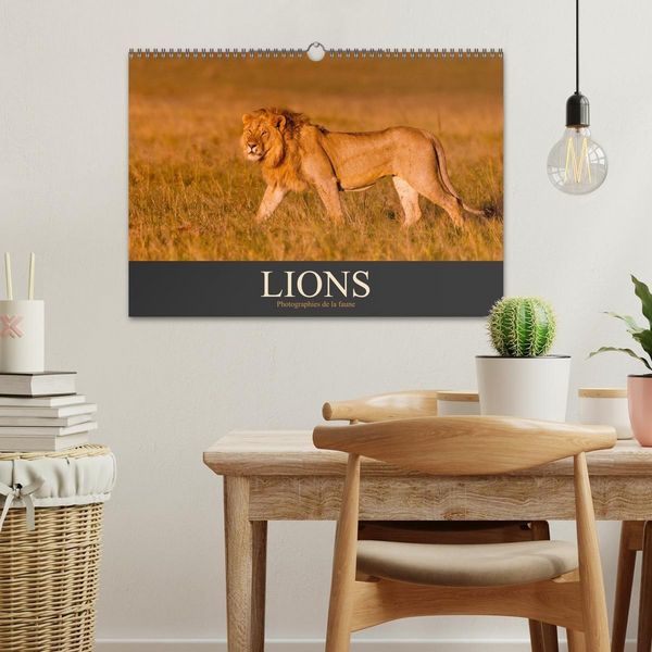 Produktbild: Lions &ndash; Photographies de la faune (Calendrier mural 2027 DIN A3 vertical), CALVENDO calendrier mensuel