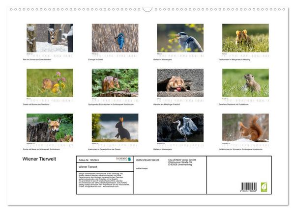 Produktbild: Wiener Tierwelt (Wandkalender 2026 DIN A2 quer), CALVENDO Monatskalender