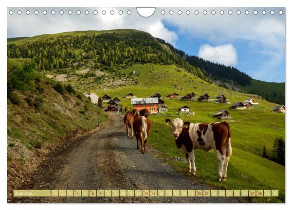 Produktbild: Die Feistritzer Alm - Wandern in den K&auml;rntner Bergen (Wandkalender 2026 DIN A4 quer), CALVENDO Monatskalender