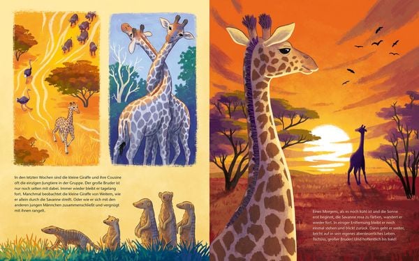 Produktbild: Die kleine Giraffe - Zu Hause in der Savanne