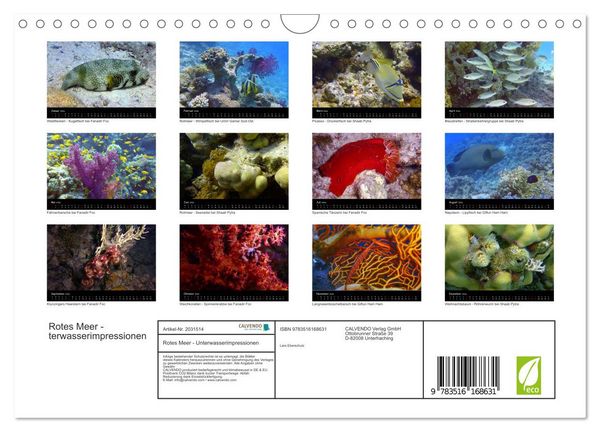Produktbild: Rotes Meer - Unterwasserimpressionen (Wandkalender 2026 DIN A4 quer), CALVENDO Monatskalender