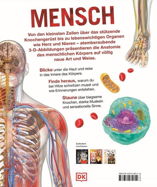 Produktbild: DK Wissen. Mensch
