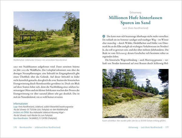 Produktbild: 50 sagenhafte Naturdenkmale in Schleswig-Holstein