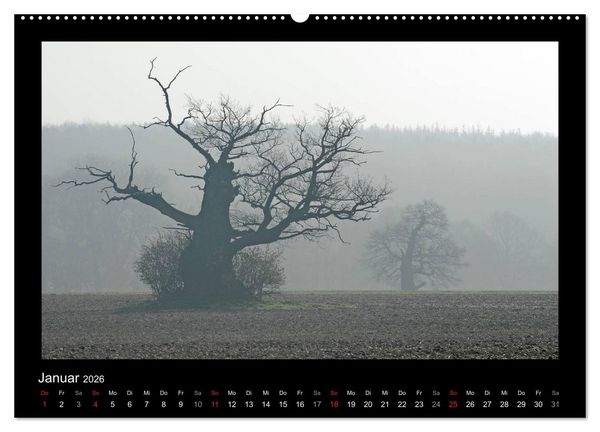 Produktbild: M&auml;rchenhafter Reinhardswald und Urwald Sababurg (Wandkalender 2026 DIN A2 quer), CALVENDO Monatskalender