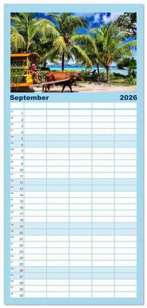 Produktbild: Familienplaner 2026 - Die Seychellen - ganz nah am Paradies mit 5 Spalten (Wandkalender, 21 x 45 cm) CALVENDO