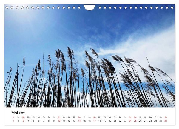 Produktbild: Borkum - Wo die Zeit still steht. (Wandkalender 2026 DIN A4 quer), CALVENDO Monatskalender