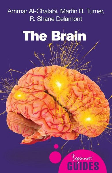 Produktbild: Brain (Edition, Revised)
