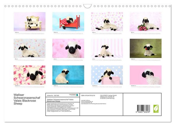 Produktbild: Walliser Schwarznasenschaf Valais Blacknose Sheep (Wandkalender 2026 DIN A3 quer), CALVENDO Monatskalender