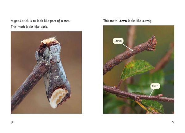 Produktbild: Hidden Bugs