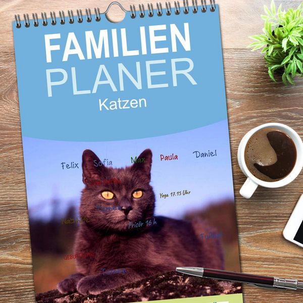 Produktbild: Familienplaner 2026 - Katzen mit 5 Spalten (Wandkalender, 21 x 45 cm) CALVENDO