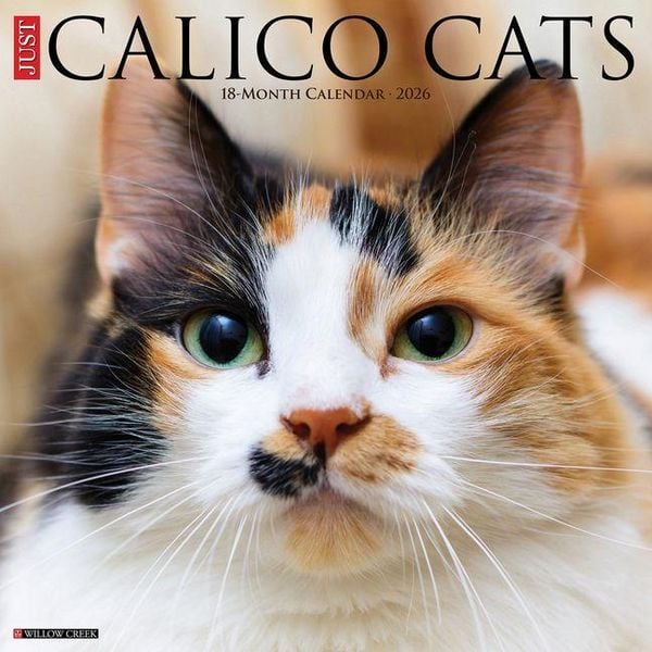 Produktbild: Calico Cats 2026 Wall Calendar
