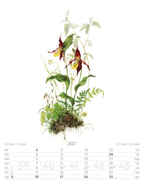 Produktbild: Alpenblumen-Aquarelle Kalender 2027