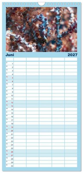 Produktbild: Familienplaner 2027 - Faszination blaue Unterwasserwelt mit 5 Spalten (Wandkalender, 21 x 45 cm) CALVENDO