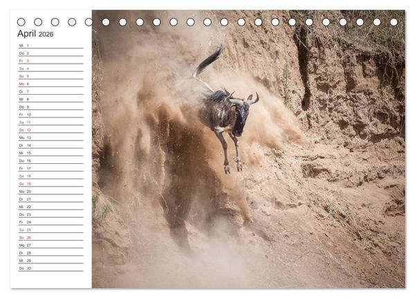 Produktbild: Emotionale Momente: Mein wildes Afrika (Tischkalender 2026 DIN A5 quer), CALVENDO Monatskalender
