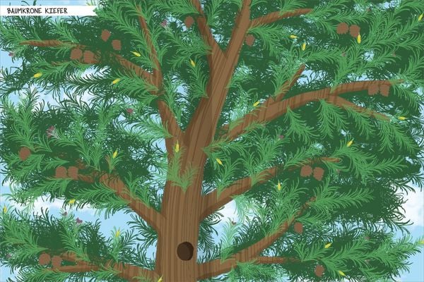 Produktbild: Naturforscher-Kids &ndash; Stickerheft B&auml;ume