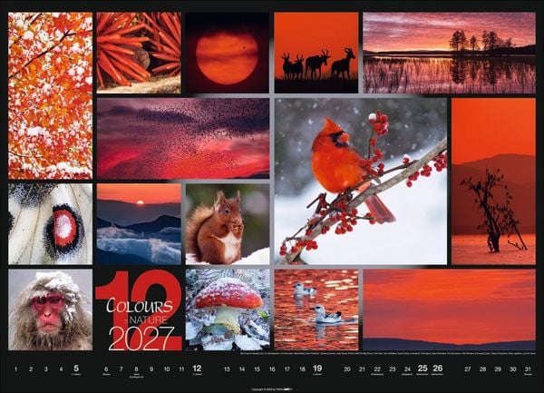 Produktbild: Colours of Nature Kalender 2027