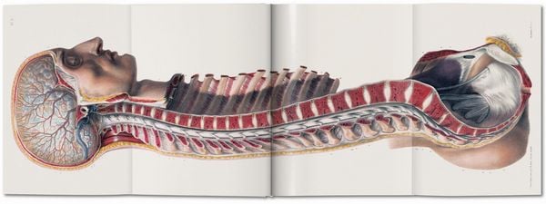 Produktbild: Bourgery