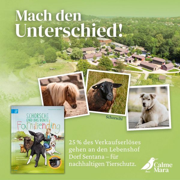 Produktbild: Schorschi und das bunte Familiending