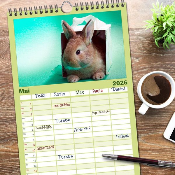 Produktbild: Familienplaner 2026 - Lustige Kaninchen mit 5 Spalten (Wandkalender, 21 x 45 cm) CALVENDO