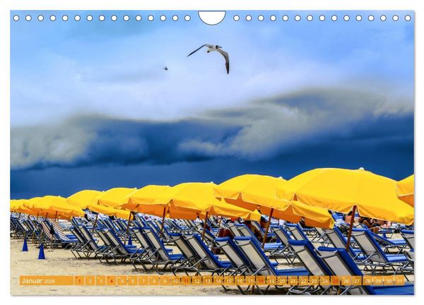 Produktbild: Florida - Sonnige Str&auml;nde und magische S&uuml;mpfe (Wandkalender 2026 DIN A4 quer), CALVENDO Monatskalender