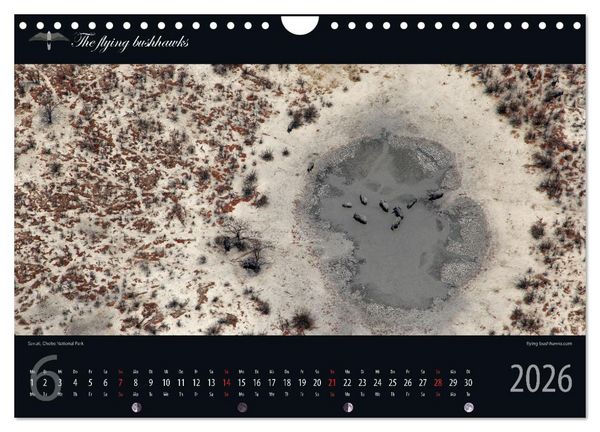 Produktbild: Botswana Blickwinkel 2026 (Wandkalender 2026 DIN A4 quer), CALVENDO Monatskalender