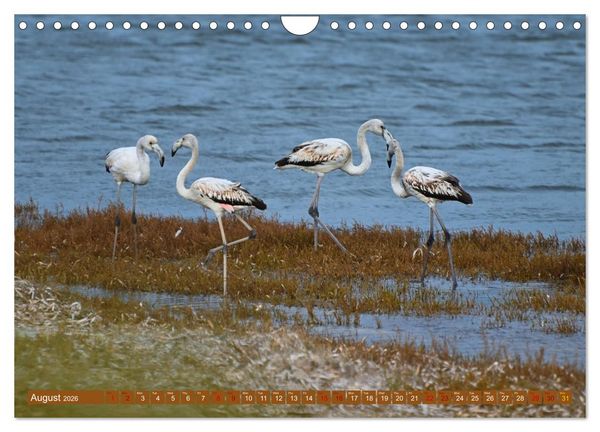 Produktbild: European Island Sardinia (Wall Calendar 2026 DIN A4 landscape), CALVENDO 12 Month Wall Calendar