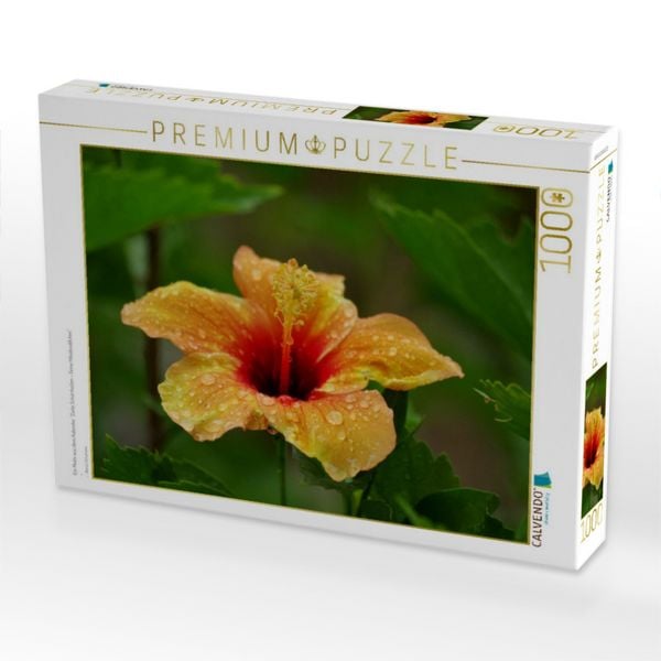 Produktbild: CALVENDO Puzzle Ein Motiv aus dem Kalender "Zarte Sch&ouml;nheiten - Feine Hibiskusbl&uuml;ten" | 1000 Teile Lege-Gr&ouml;&szlig;e 64x48cm Foto-Puzzle f&uuml;r gl&uuml;ckliche Stunden