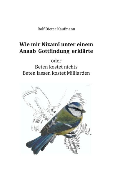 Produktbild: Wie mir N&icirc;zam&icirc; unter einem Anaab Gottfindung erkl&auml;rte