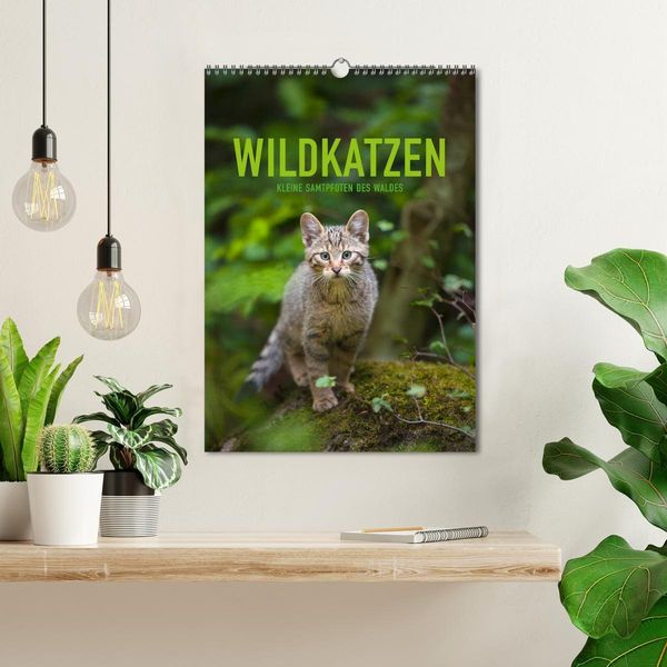 Produktbild: Wildkatzen - Kleine Samtpfoten des Waldes (Wandkalender 2026 DIN A3 hoch), CALVENDO Monatskalender