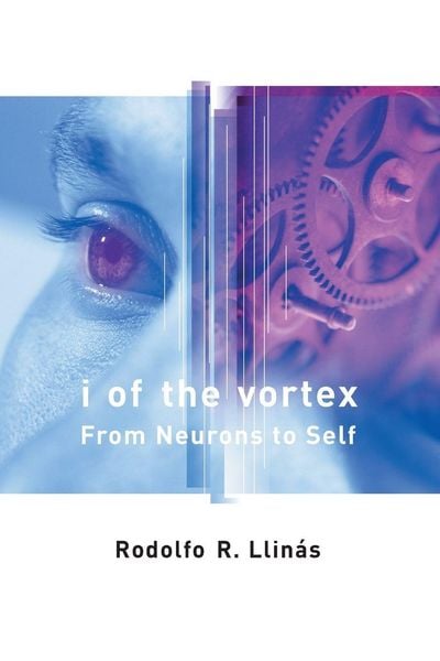 Produktbild: I of the Vortex
