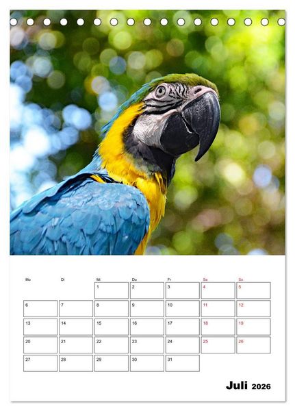 Produktbild: Karibik pur - mit Charme und Zauber (Tischkalender 2026 DIN A5 hoch), CALVENDO Monatskalender