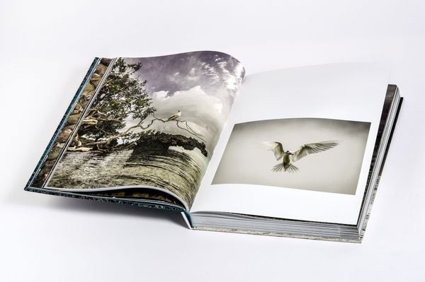 Produktbild: Wilder Ozean