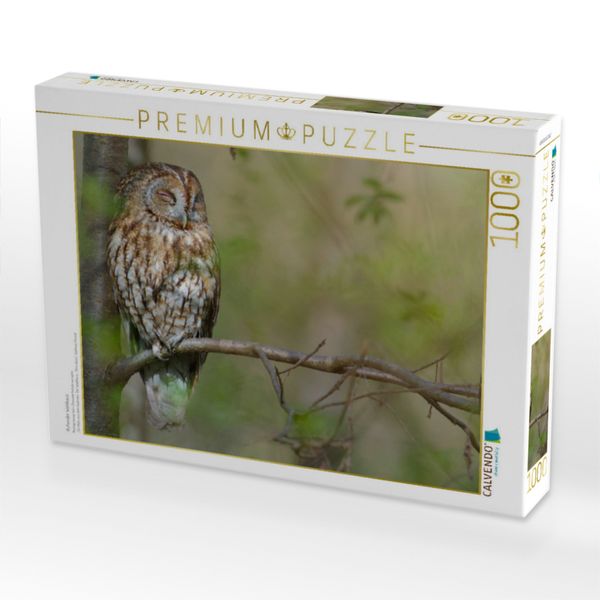 Produktbild: CALVENDO Puzzle Ruhender Waldkauz | 1000 Teile Lege-Gr&ouml;&szlig;e 64x48cm Foto-Puzzle f&uuml;r gl&uuml;ckliche Stunden