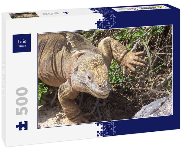 Produktbild: Lais Puzzle Leguan Galapagos 500 Teile