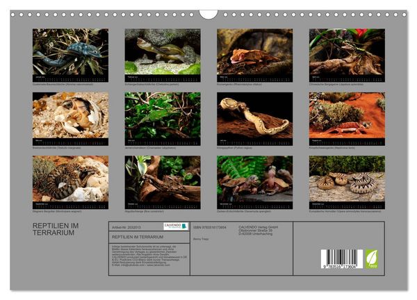 Produktbild: REPTILIEN IM TERRARIUM (Wandkalender 2026 DIN A3 quer), CALVENDO Monatskalender