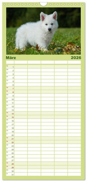 Produktbild: Familienplaner 2026 - Wei&szlig;er Schweizer Sch&auml;ferhund - Ein Tag im Leben einer Hundefamilie mit 5 Spalten (Wandkalender, 21 x 45 cm) CALVENDO